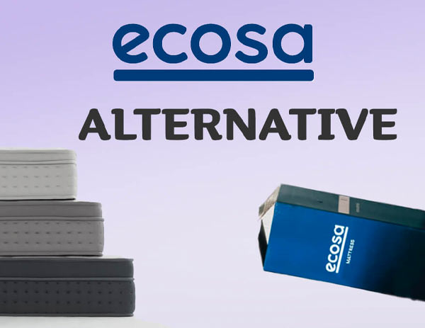 Best Ecosa Alternative in 2026