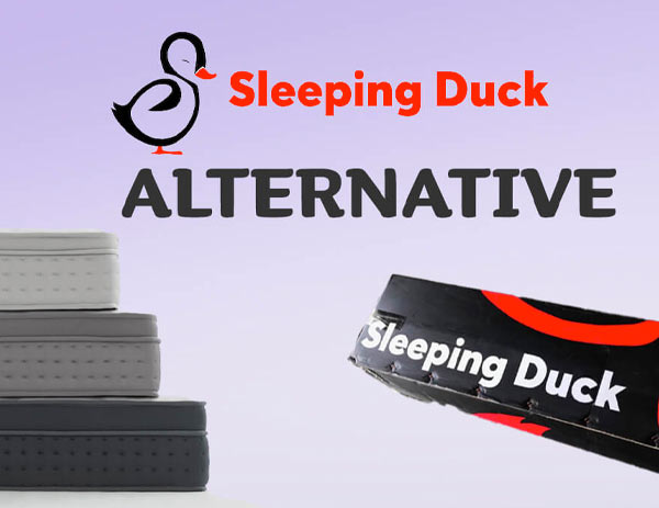 Best Sleeping Duck Alternative